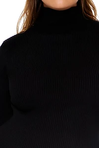Plus Ribbed Turtleneck Sweater