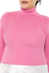 Plus Ribbed Turtleneck Sweater