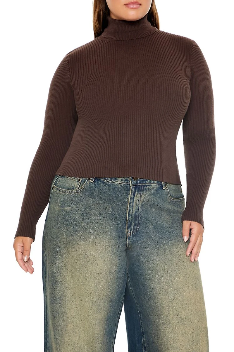 Plus Ribbed Turtleneck Sweater