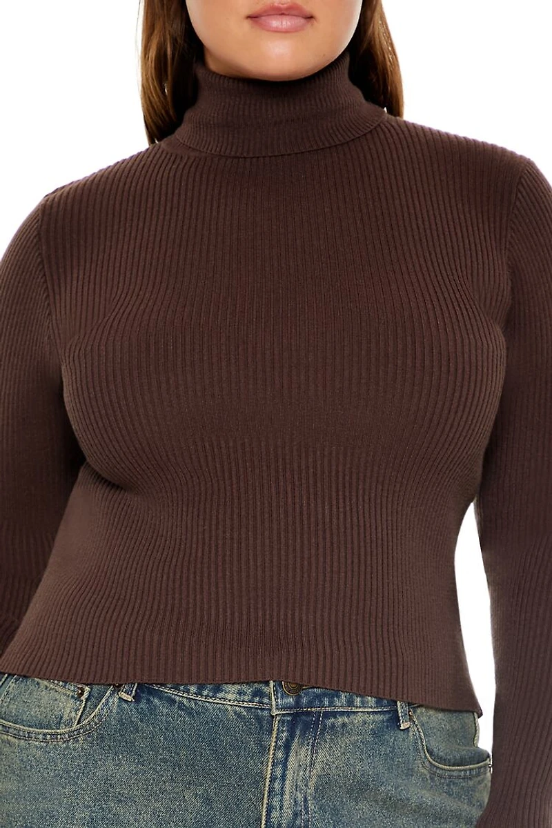 Plus Ribbed Turtleneck Sweater