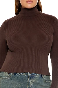Plus Ribbed Turtleneck Sweater