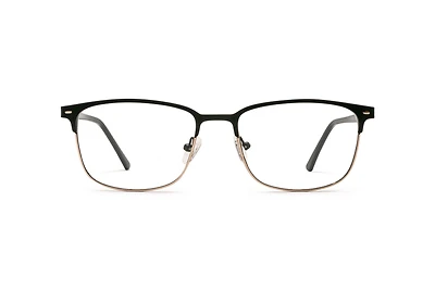 ENZO-4029