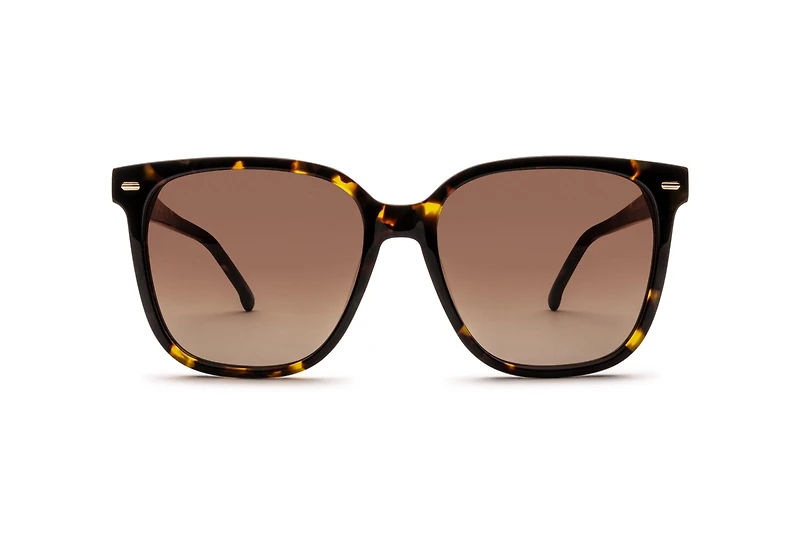 CA-3002S
