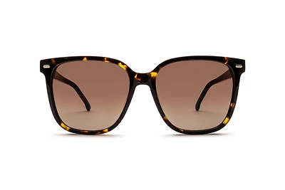 CA-3002S