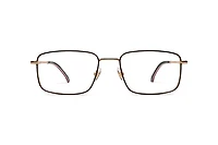 CARRERA