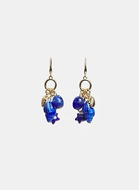 Charm Dangle Earrings