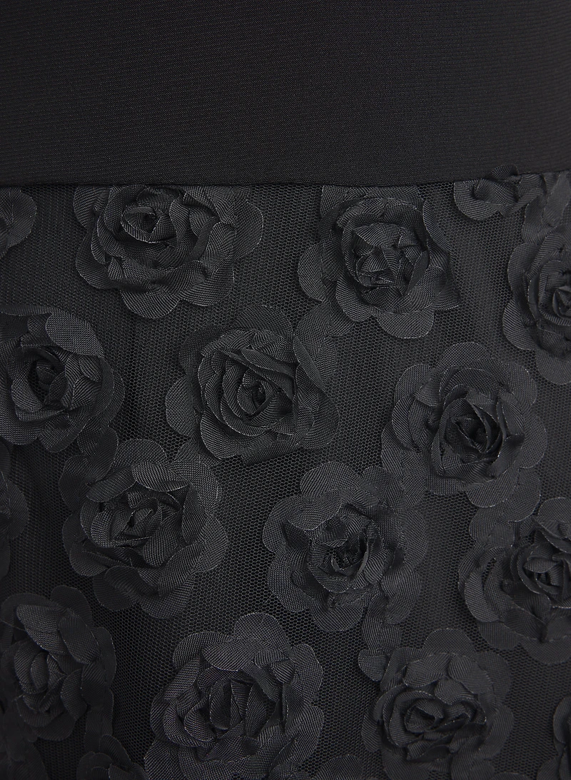Rose Embroidered Dress