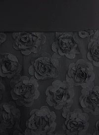 Rose Embroidered Dress