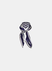 Satin Paisley Scarf