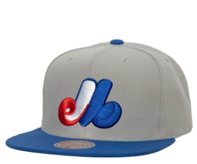 MLB EVERGREEN PRO SNAPBACK