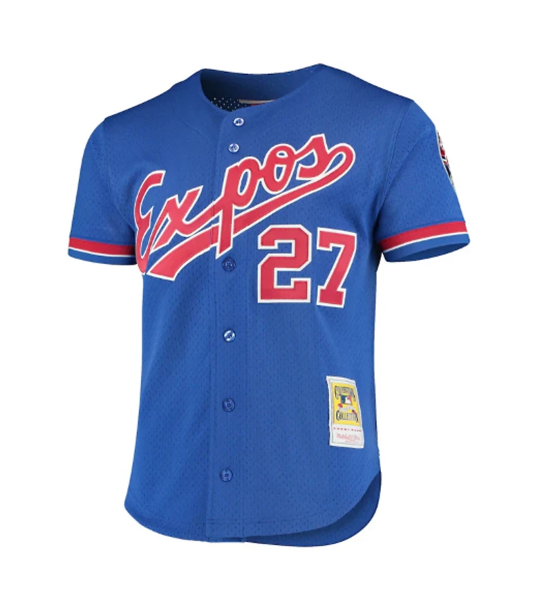 Men's Montreal Expos Vladimir Guerrero Mitchell & Ness Royal Cooperstown Collection