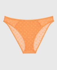 Mesh Bikini Panty