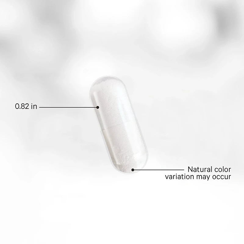 Codeage GLP - Probiotic+ Akkermansia