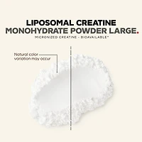 Creatine Monohydrate 455G