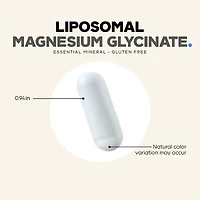 Liposomal Magnesium Glycinate, Daily Wellness, 240 Count