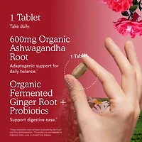 Garden of Life Organics Ashwaganda Stress & Mood (60 count)
