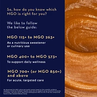 Manuka Honey MGO 400+ Bioactive Wellness, 250g, by Manuka Health New Zealand