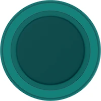PopSockets 808972 PopGrip pour MagSafe Rond avec Anneau Adaptateur Fresh Pine Soft Touch