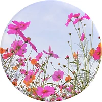 PopSockets 806596 PopGrip Fuchsia Bloom