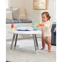 Centre D'activités 2-en-1 - Seascape