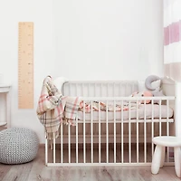 Growth Scale - Imperial/Metric