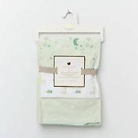 Flannel Receiving Blanket 3-pack