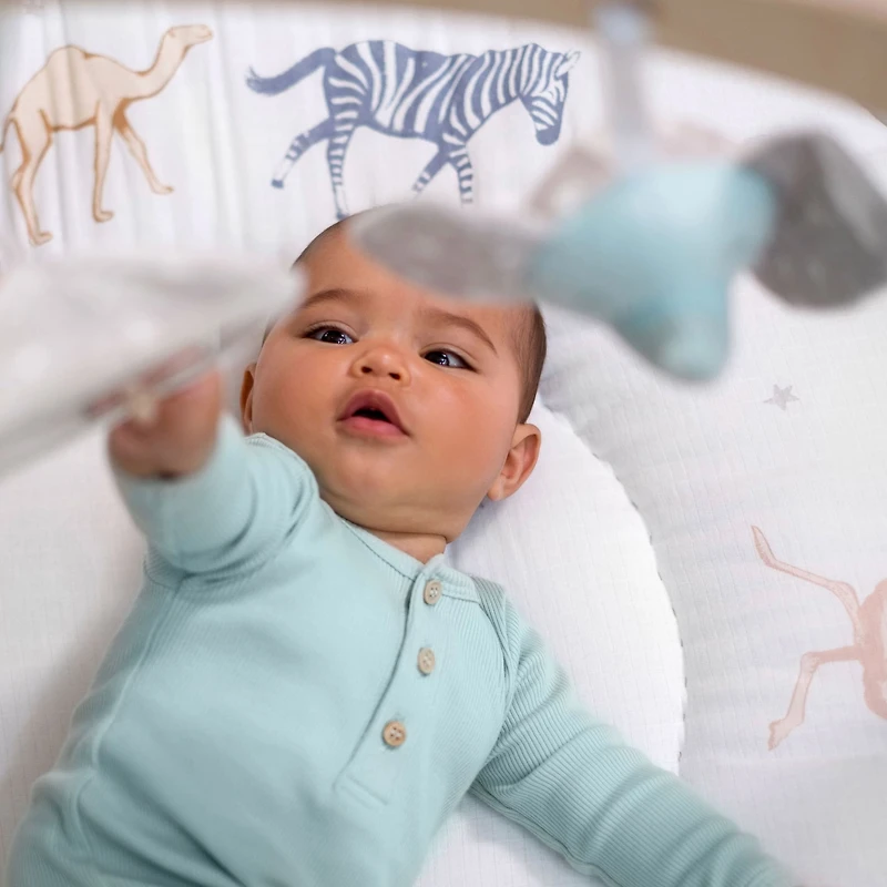 Baby Activity Gym - Rising Star