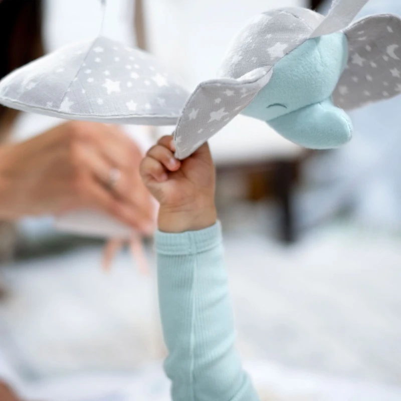 Baby Activity Gym - Rising Star