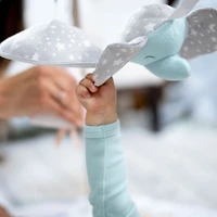 Baby Activity Gym - Rising Star