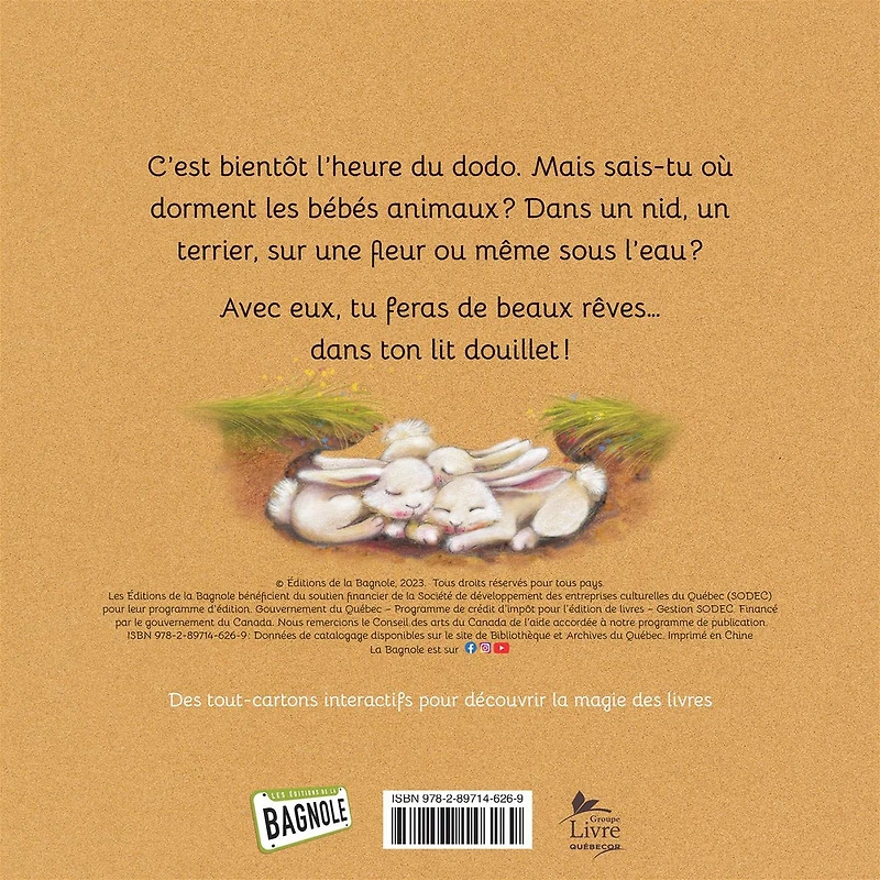 Au Dodo Avec Les Bébés Animaux