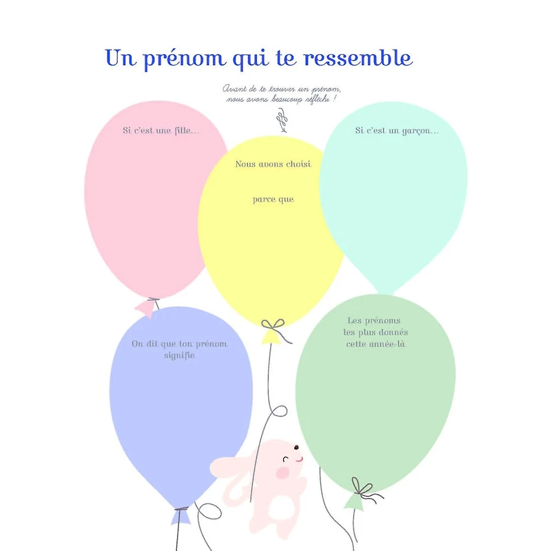 Mon Album Bébé Lapin