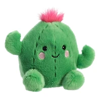 Cactus Souriant 5"