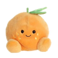 Tangie Orange