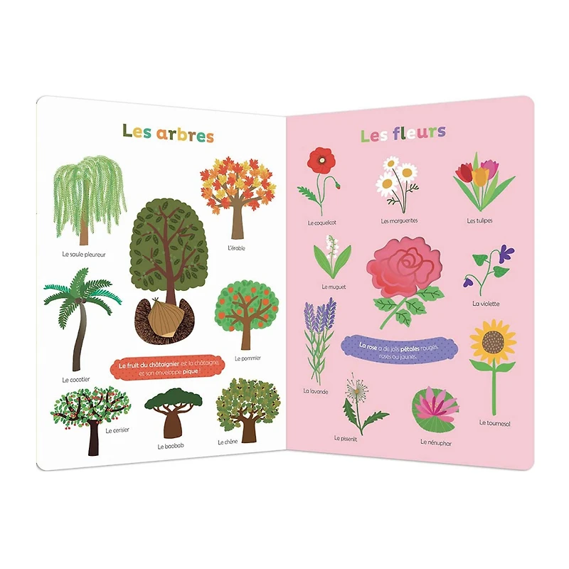 Ma nature à découvrir et à toucher