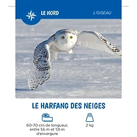 Les Animaux Du Québec