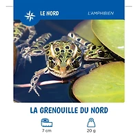 Les Animaux Du Québec