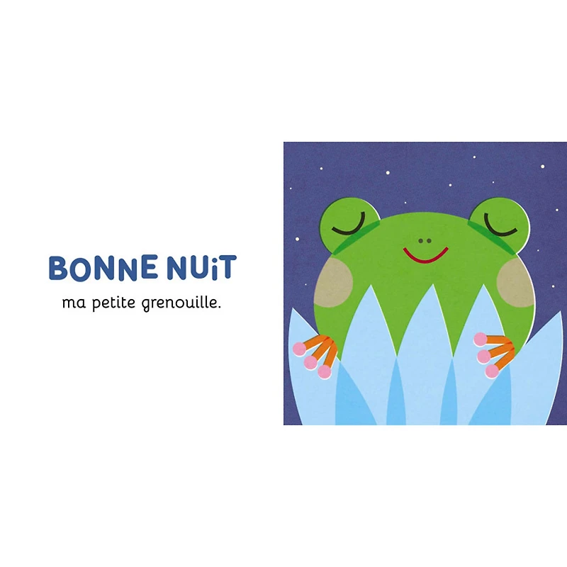 Bonne Nuit Mon Petit Chat!