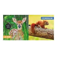 Les Bébés Animaux