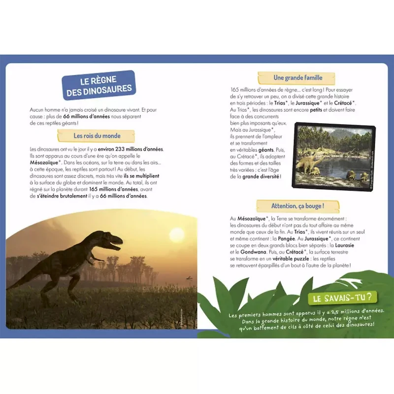 La Découverte Des Dinosaures