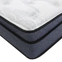Macchiato 11PO Rolled Single Mattress - PROMO FREE SHIPPING