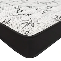 Symphonie 8” Rolled Foam Twin Mattress - PROMO FREE SHIPPING