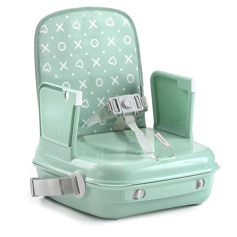 YummiGo+ Feed & Go Booster – Light Green Ash