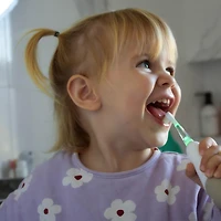 Sonik Pro Rechargeable Toothbrush