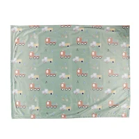 Couverture Velux Camion