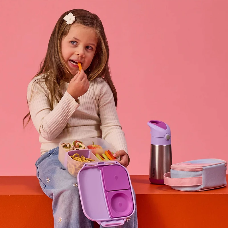 Mini Lunch Box - Sugar Plum
