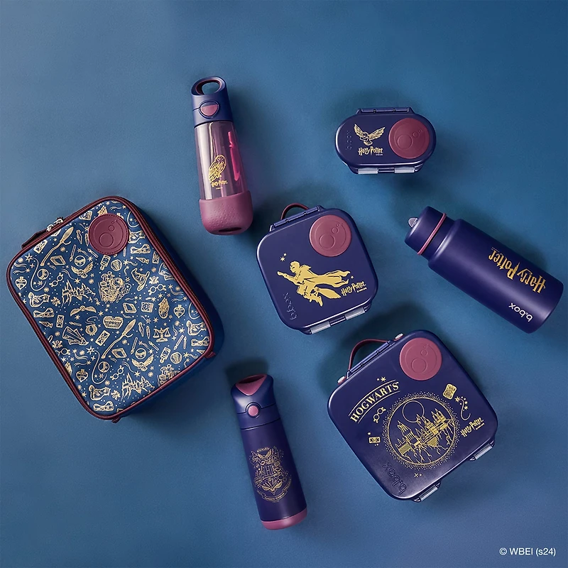 Lunch Box - Harry Potter