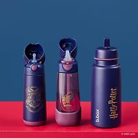 Insulated Drink Bottle 350ml - Harry Potter