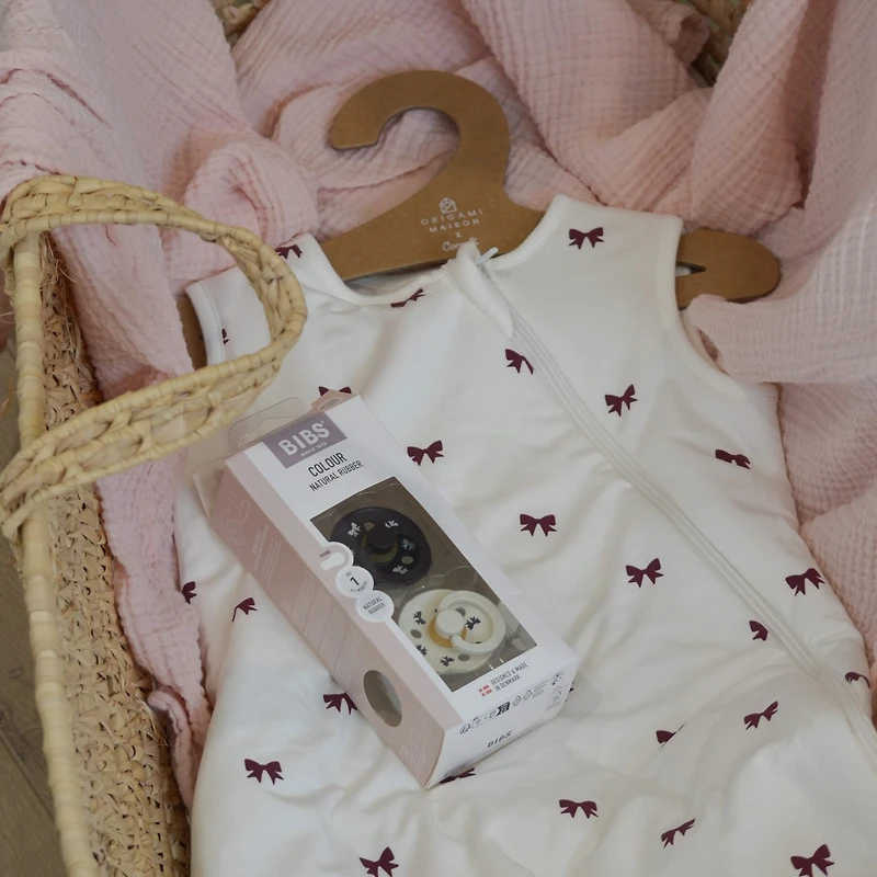 Pacifier Bibs6-18(2)Bow