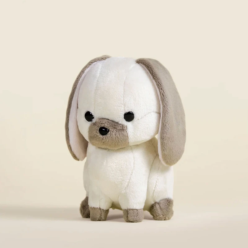 Mini Lop Bunni the Lop Rabbit