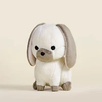 Mini Lop Bunni the Lop Rabbit